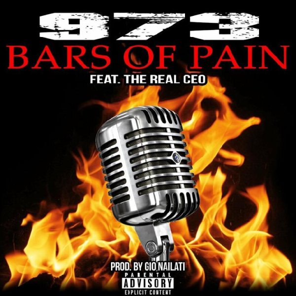973 - Bars Of Pain (feat. The Real CEO)