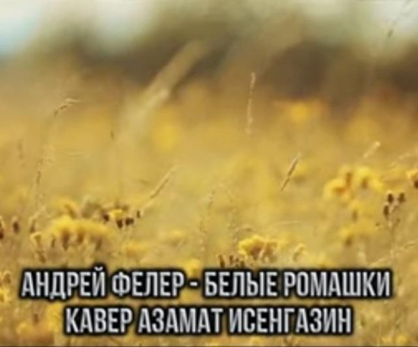 Андрей Фелер - Белые Ромашки (Кавер Азамат Исенгазин 2022)