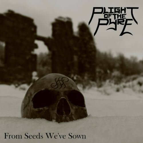 Plight Of The Pyre - Trapped in Flesh (feat. Gabe McKee)