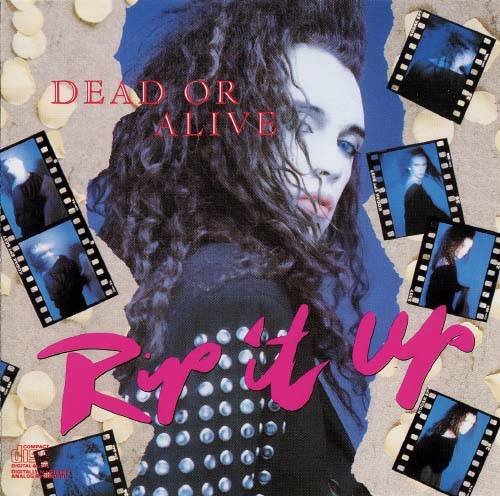 Dead Or Alive - Something In My House