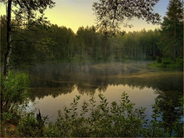 Малиновая вода - спацес_ру