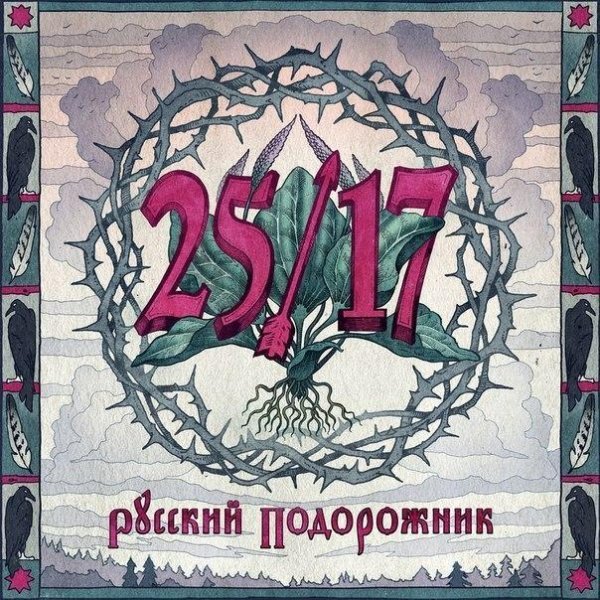 2517 - Поезд