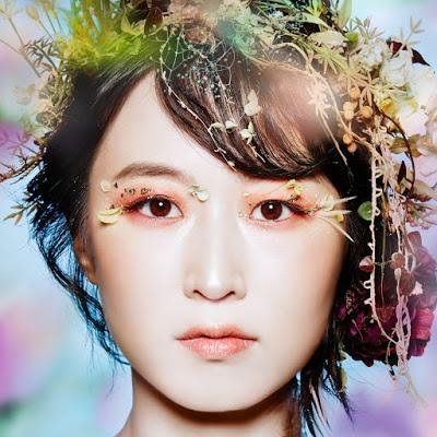 Coala Mode - Kachou Fuugetsu