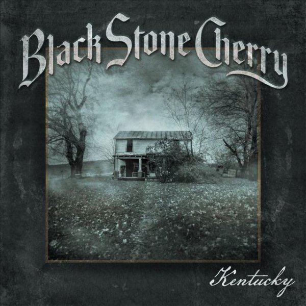 Black Stone Cherry - Shakin My Cage
