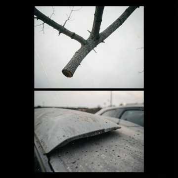 LIHE - Упала ветка