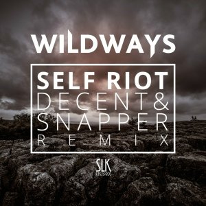 Wildways - Self riot (Decent &amp; Snapper Remix)