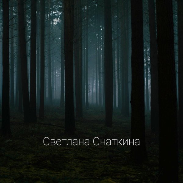 Светлана Снаткина - Ты Обнимаешь Меня