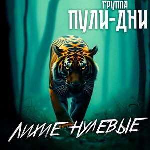 Группа Пули-Дни - Ходики