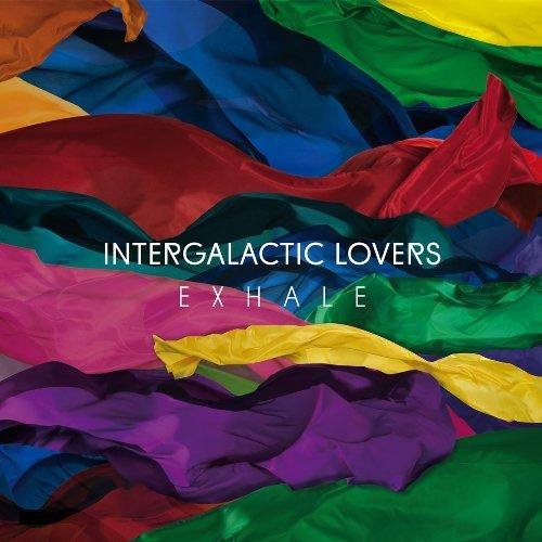 Intergalactic Lovers - For The Young Ones