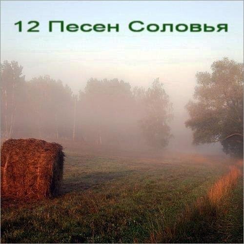 Соловьиная роща - Одиннадцатая песня «Дуэт со сверчками»