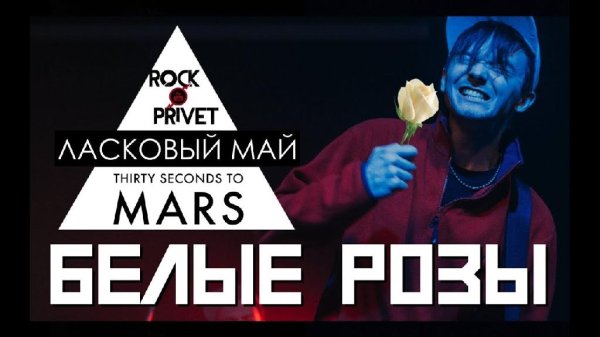 Rock Privet - Белые розы