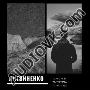 ЛИТВИНЕНКО - В хлам