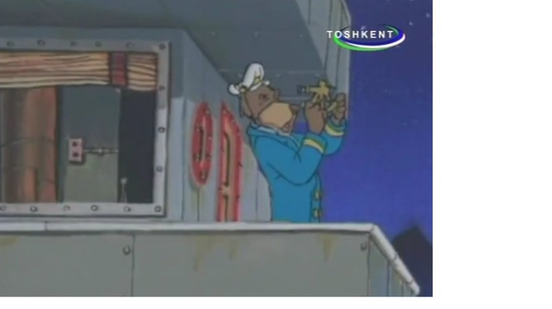 Dengiz itlari - Dengiz itlari