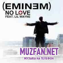 Eminem ft. Lil Wayne - No Love