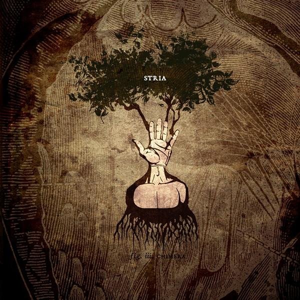 Stria - Beneath