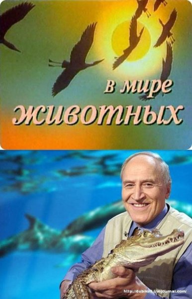 В мире животных - На звонок