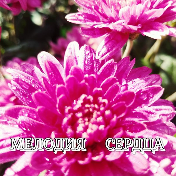 Сергей Грищук - Мелодия сердца