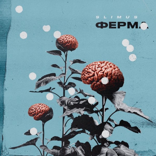SLIMUS - Бумеранг