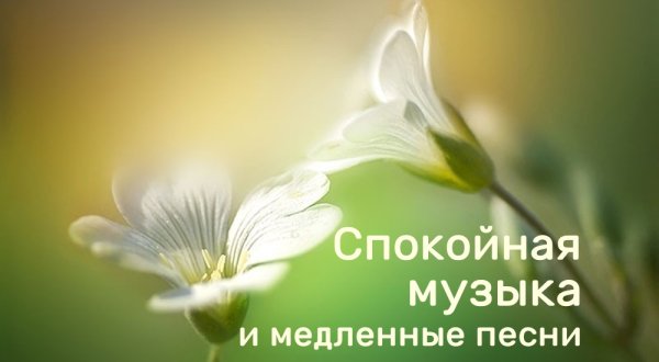 Nata_shi - Стирая ноги в кровь