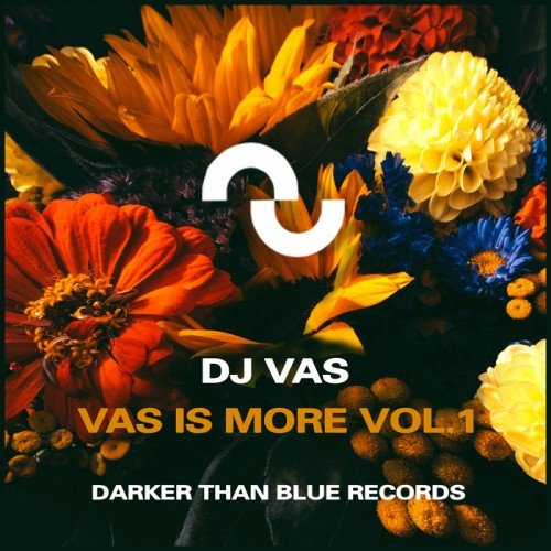 Dj Vas - Say You Love Me