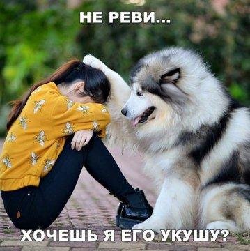 ~Настоящий друг ~ - ~Настоящий друг~