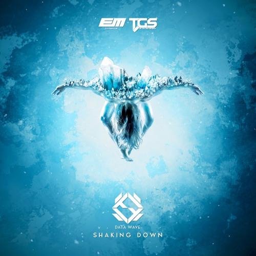 Data Wave - Shaking Down