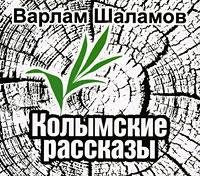 Варлам Шаламов - Одиночный замер