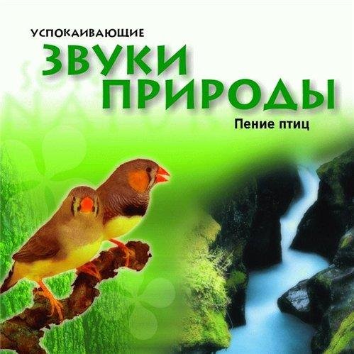 На будильник - Под пение птиц