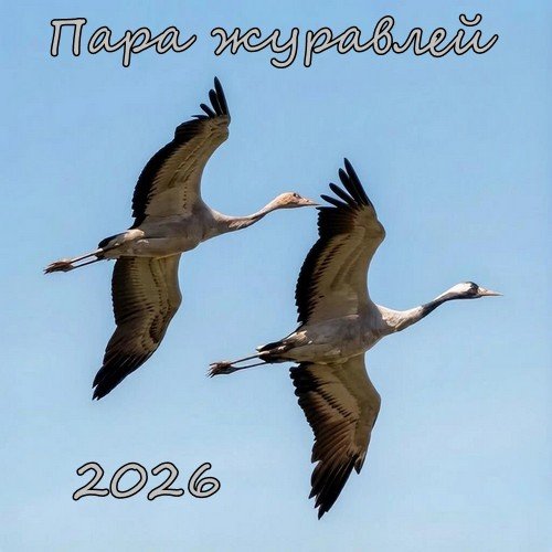Неизвестный - Пара журавлей(песни Вашестова Георгия)
