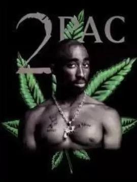 2pac 50cent eminem - unstoppable