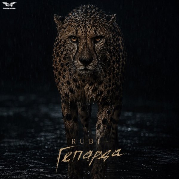 RUBI - "Гепарда"