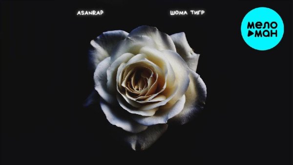 Но ты дура ты дура ты явно в голове не мозги это точно - asanrap