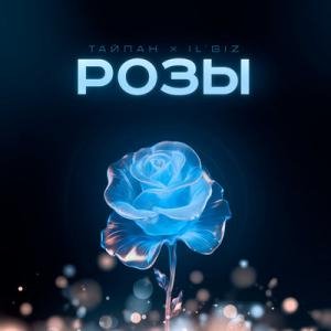 Тайпан feat. IL'GiZ - Розы