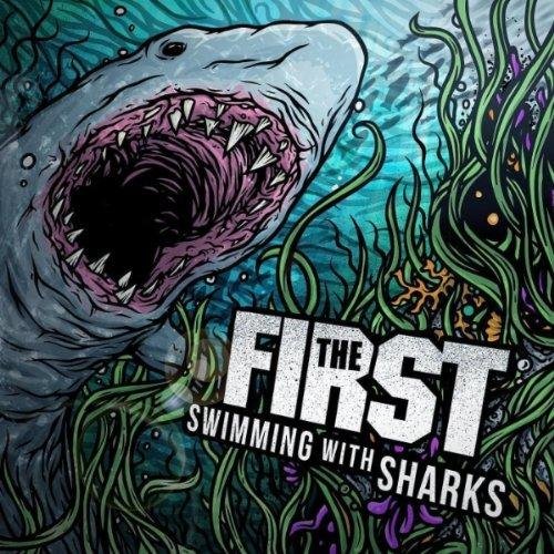 The First - Something Nothing