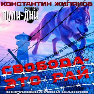 Константин Жиляков, Группа Пули-Дни - Краплёный