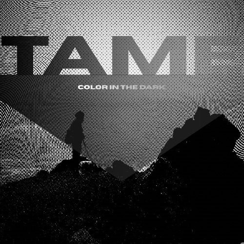 Color In The Dark - Tame