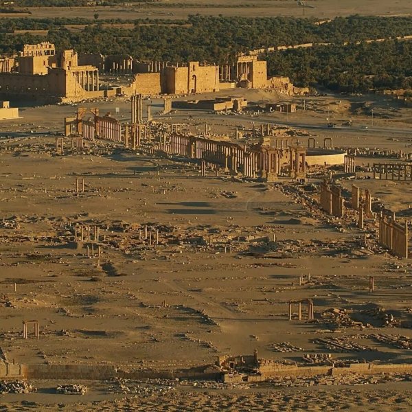 GwBasel BunniTHE FALL OF PALMYRA - BASEL BUNNITHE FALL OF PALMYRA