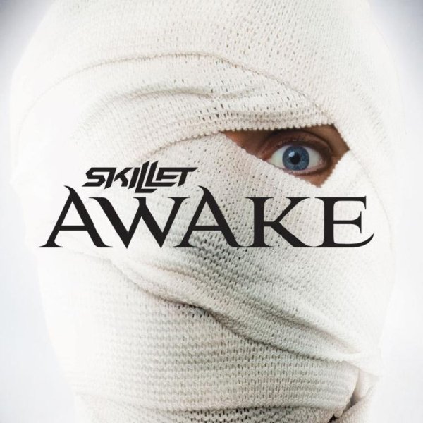 Skillet - Should've When You Could've