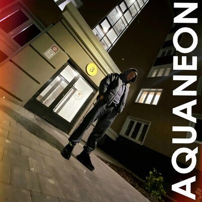 AQUANEON - Но, как всегда...