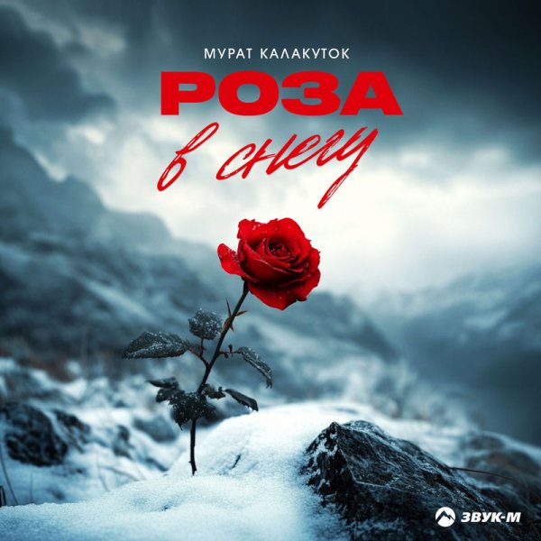 Мурат Калакуток - Роза в снегу