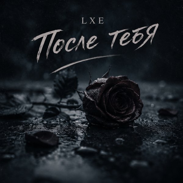 LXE - После тебя