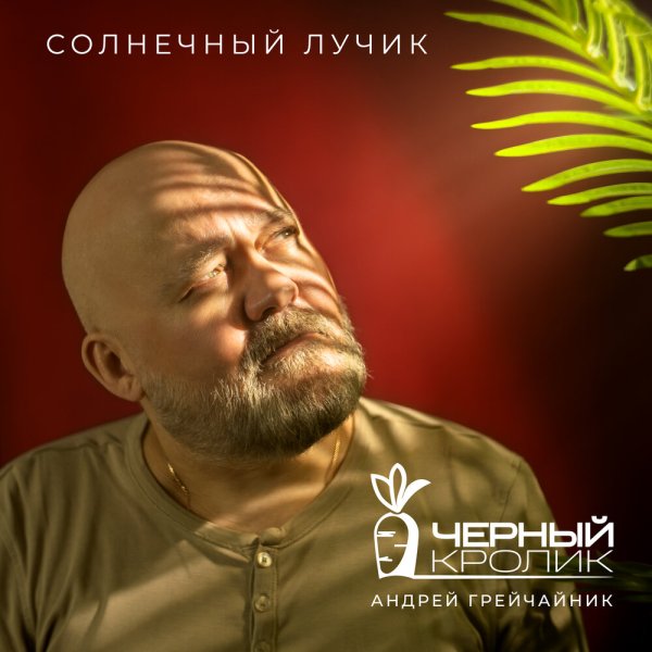 Чёрный кролик/Андрей Грейчайник - Солнечный лучик