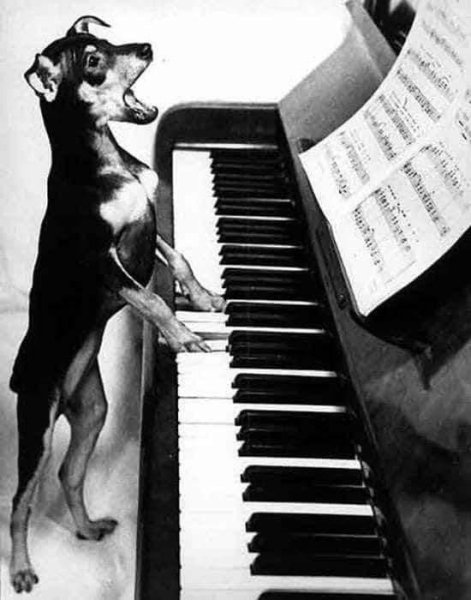 Eric Carmen - Never Gonna Fall In Love Again