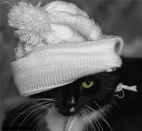 image(8)