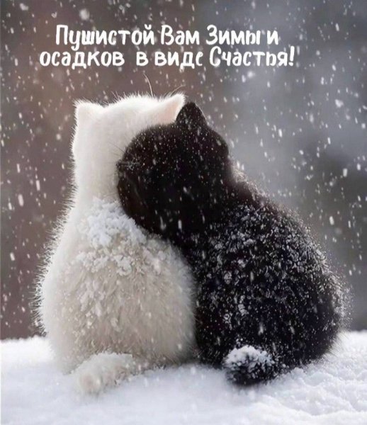 0a712616f1bb3f4720d0f9029a649c7e