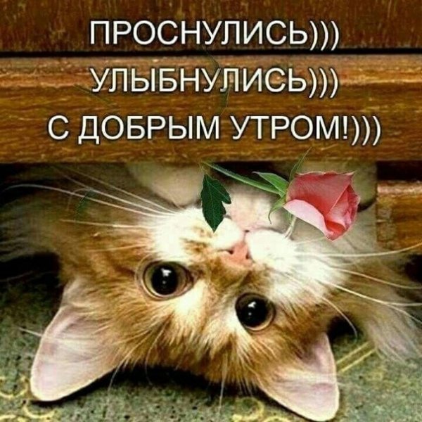 7bkIPFygvGE