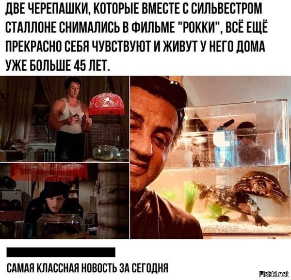 )