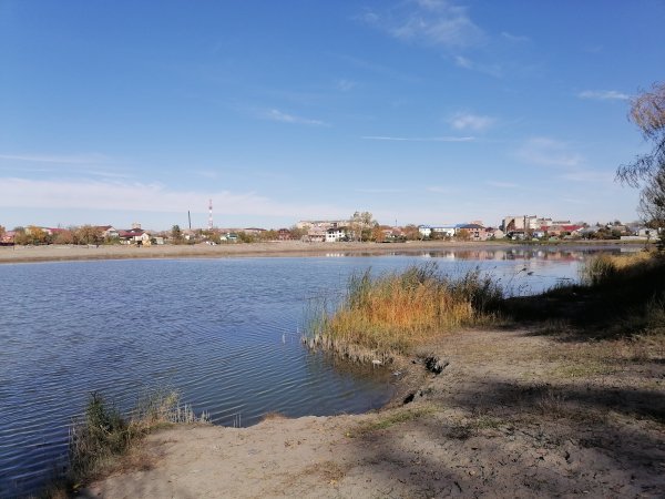 IMG 20251101 121908