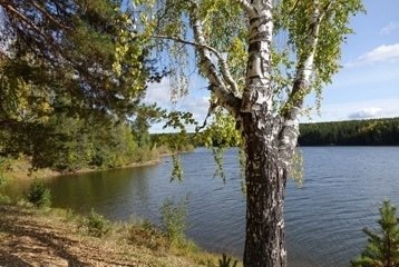 picture_396941424