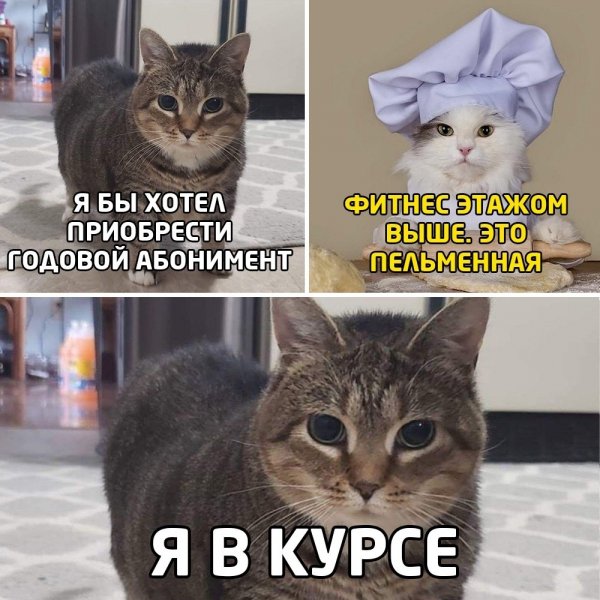 Я в курсе